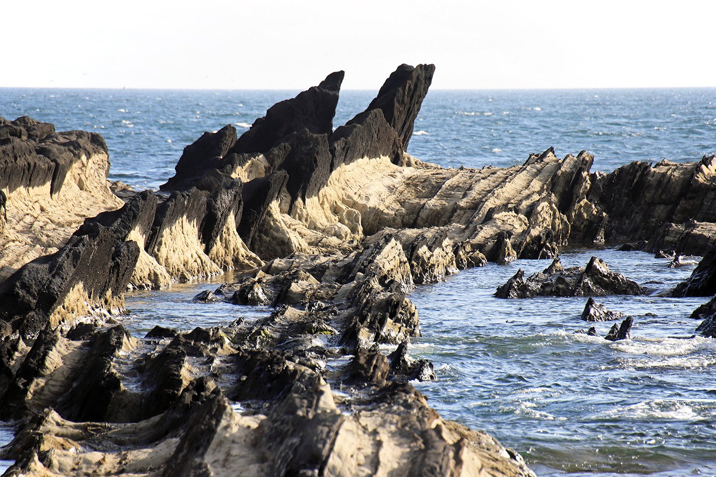 🌊 아라사키 공원(아라사키 코엔) 이미지 7